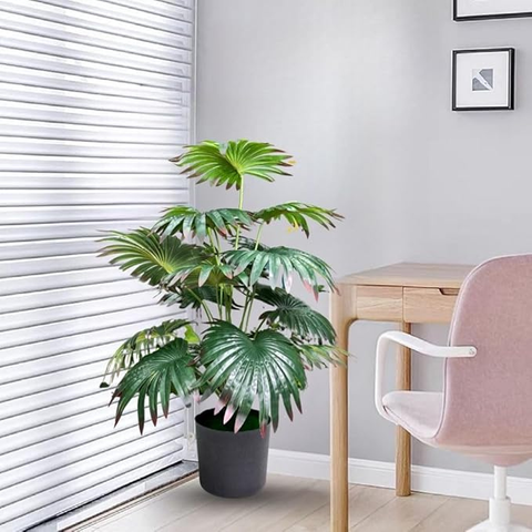 De Gardenia Artificial Licuala Palm Plant with Pot – 2.5 Feet Tall Faux Ruffled Fan Palm for Home & Office Décor | Realistic Tropical Indoor Plant