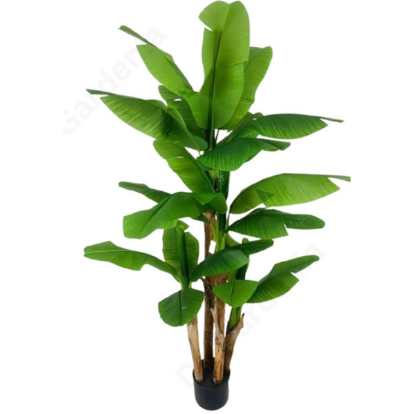 De Gardenia Banana Plant X3 – 220 cm Tall Artificial Plant Without Pot | Lifelike Faux Tropical Greenery for Home & Office