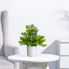 De Gardenia Artificial Rubber Plant – Small Faux Potted Plant for Tabletop, Home, Bathroom & Office Décor | Indoor Decorative Greenery