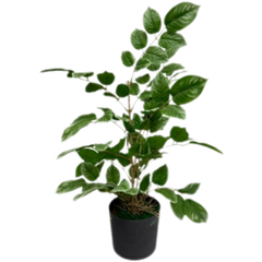 De Gardenia Redmachira Leaves Mix – 60 cm Tall Artificial Plant | Lifelike Faux Indoor & Outdoor Décor Without Pot