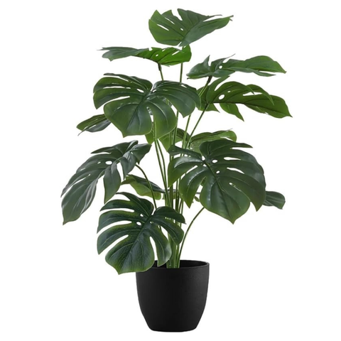 De Gardenia Artificial Money Plant – 55 cm Tall Faux Monstera Palm Leaves | Without Pot | Lifelike Green Decorative Plant for Home & Office Interiors