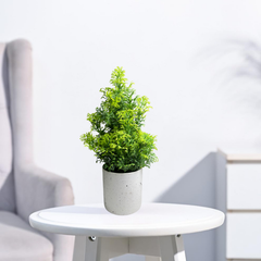 De Gardenia Artificial Rubber Plant – Small Faux Potted Plant for Tabletop, Home, Bathroom & Office Décor | Indoor Decorative Greenery