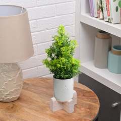 De Gardenia Artificial Rubber Plant – Small Faux Potted Plant for Tabletop, Home, Bathroom & Office Décor | Indoor Decorative Greenery