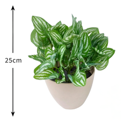 De Gardenia Wandering Jew Leaves Shrub – 25cm Artificial Plant Without Pot for Home & Office Décor