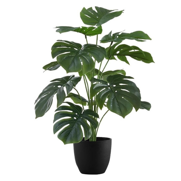 De Gardenia Artificial Money Plant – 55 cm Tall Without Pot | Faux Green Monstera with Palm Leaves | Silk-Like Tropical Decorative Plant for Home & Office