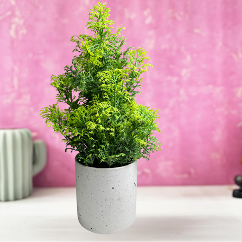 De Gardenia Artificial Rubber Plant – Small Faux Potted Plant for Tabletop, Home, Bathroom & Office Décor | Indoor Decorative Greenery