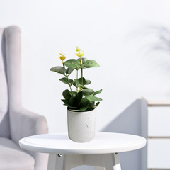 De Gardenia Artificial Rubber Plant – Small Faux Potted Plant for Tabletop, Home, Bathroom & Office Décor | Indoor Decorative Greenery