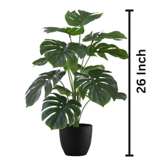 De Gardenia Artificial Money Plant – 55 cm Tall Without Pot | Faux Green Monstera with Palm Leaves | Silk-Like Tropical Decorative Plant for Home & Office