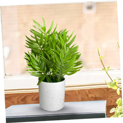 De Gardenia Artificial Rubber Plant – Small Faux Potted Plant for Tabletop, Home, Bathroom & Office Décor | Indoor Decorative Greenery