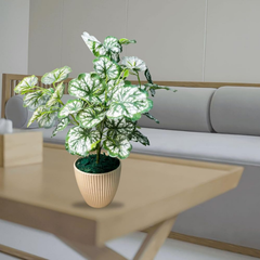 Artificial Money Plant Tree – Natural-Looking Faux Greenery for Home, Office, Garden & Event Decoration | Easy to Clean & Washable