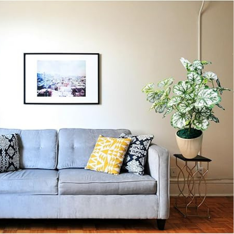 De Gardenia Artificial Money Plant | 18" Tall Realistic Faux Ornamental Tree | Indoor Decorative Green Plant for Home, Shop & Office (Pot Not Included)