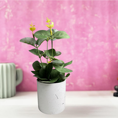 De Gardenia Artificial Rubber Plant – Small Faux Potted Plant for Tabletop, Home, Bathroom & Office Décor | Indoor Decorative Greenery