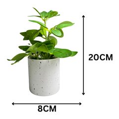 De Gardenia Artificial Rubber Plant – Small Faux Potted Plant for Tabletop, Home, Bathroom & Office Décor | Indoor Decorative Greenery