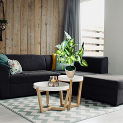 Artificial Money Plant Tree – Natural-Looking Faux Greenery for Home, Office, Garden & Event Decoration | Easy to Clean & Washable