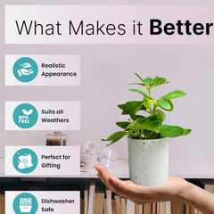 De Gardenia Artificial Rubber Plant – Small Faux Potted Plant for Tabletop, Home, Bathroom & Office Décor | Indoor Decorative Greenery