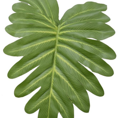 De Gardenia Artificial Miniature PVC Silk Plant – 70 cm Tall, 18 Big Leaves, Without Pot | Realistic Green Decorative Faux Plant for Home & Office Décor