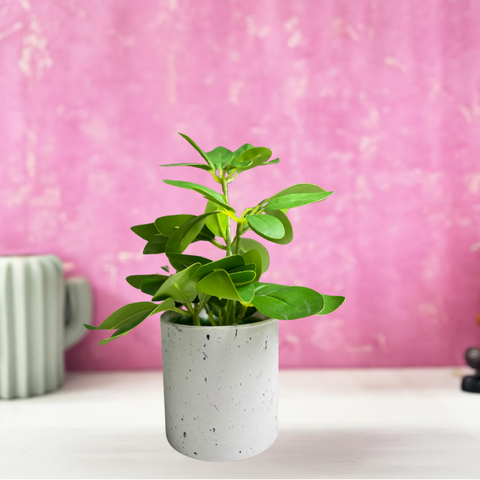 De Gardenia Artificial Rubber Plant – Small Faux Potted Plant for Tabletop, Home, Bathroom & Office Décor | Indoor Decorative Greenery