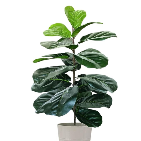 De Gardenia Artificial Fiddle Leaf Fig Twig – 28 Inch Tall Faux Ficus Lyrata Plant with 21 Leaves | 1 Branch Greenery for Indoor & Outdoor Home, Office & Yard Décor Pot Not Included