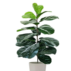 De Gardenia Artificial Fiddle Leaf Fig Twig – 28 Inch Tall Faux Ficus Lyrata Plant with 21 Leaves | 1 Branch Greenery for Indoor & Outdoor Home, Office & Yard Décor Pot Not Included