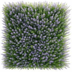 De Gardenia 50x50 cm Artificial Greenery Wall Panel – Lush Faux Vertical Garden Mat for Wall, Balcony & Home Décor