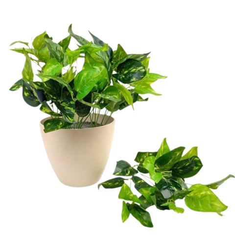 De Gardenia Money Plant PVC Shrubs – 30 cm Tall Artificial Plant | Lifelike Faux Greenery for Home, Office & Décor