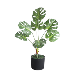 De Gardenia Monstera X7 – 60 cm Tall Artificial Plant | Lifelike Faux Indoor & Outdoor Décor Without Pot