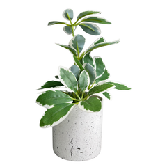 De Gardenia Artificial Rubber Plant – Small Faux Potted Plant for Tabletop, Home, Bathroom & Office Décor | Indoor Decorative Greenery