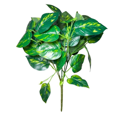 De Gardenia Artificial Money Plant | 18" Tall Realistic Faux Ornamental Tree | Indoor Decorative Green Plant for Home, Shop & Office (Pot Not Included)
