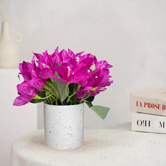 De Gardenia Artificial Rubber Plant – Small Faux Potted Plant for Tabletop, Home, Bathroom & Office Décor | Indoor Decorative Greenery