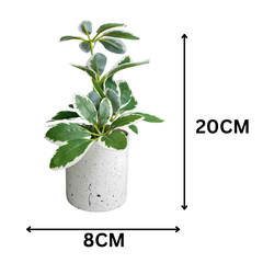 De Gardenia Artificial Rubber Plant – Small Faux Potted Plant for Tabletop, Home, Bathroom & Office Décor | Indoor Decorative Greenery