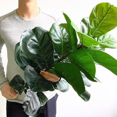 De Gardenia Artificial Fiddle Leaf Fig Twig – 28 Inch Tall Faux Ficus Lyrata Plant with 21 Leaves | 1 Branch Greenery for Indoor & Outdoor Home, Office & Yard Décor Pot Not Included