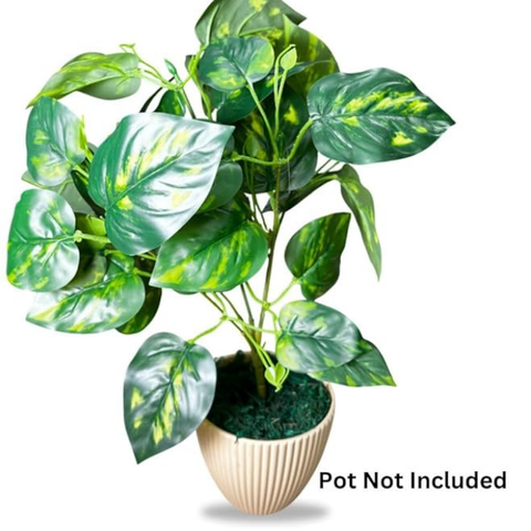 De Gardenia Artificial Money Plant | 18" Tall Realistic Faux Ornamental Tree | Indoor Decorative Green Plant for Home, Shop & Office (Pot Not Included)