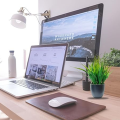 De Gardenia Artificial Plant – 30 cm Small Faux Wheat Grass Guldasta in Black Pot | Decorative Item for Home, Office Desk & Bathroom