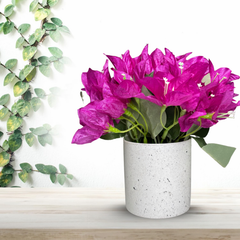 De Gardenia Artificial Rubber Plant – Small Faux Potted Plant for Tabletop, Home, Bathroom & Office Décor | Indoor Decorative Greenery