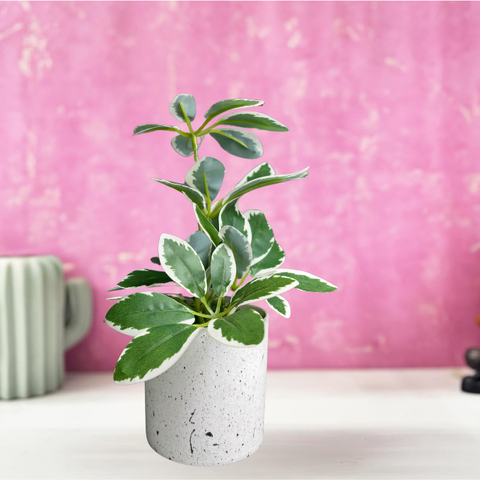 De Gardenia Artificial Rubber Plant – Small Faux Potted Plant for Tabletop, Home, Bathroom & Office Décor | Indoor Decorative Greenery