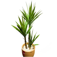 De Gardenia Yucca X3 – 110 cm Tall Artificial Plant | Lifelike Faux Indoor & Outdoor Décor Without Pot