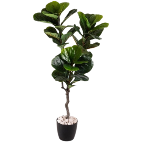 De Gardenia Fiddle Leaf – 120 cm Tall Artificial Plant | Lifelike Faux Indoor & Outdoor Décor Without Pot