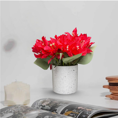 De Gardenia Artificial Rubber Plant – Small Faux Potted Plant for Tabletop, Home, Bathroom & Office Décor | Indoor Decorative Greenery