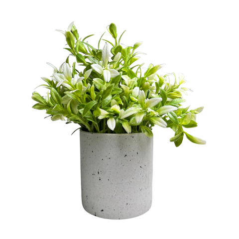 De Gardenia Artificial Rubber Plant – Small Faux Potted Plant for Tabletop, Home, Bathroom & Office Décor | Indoor Decorative Greenery