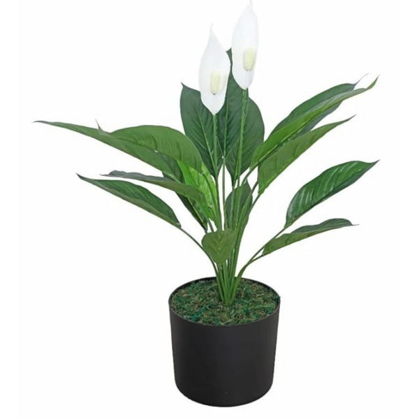 De Gardenia Artificial Spathe Plant – Realistic Indoor Faux Greenery with Pot for Home & Office Décor