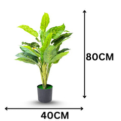 De Gardenia Artificial Dieffenbachia Plant with Pot – 80cm Tall Faux Indoor Plant with Broad Green & Cream Leaves | 4 Stems | Realistic Decorative Plant for Home & Office