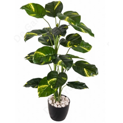 De Gardenia Money Plant – 105 cm Tall Artificial Plant | Lifelike Faux Indoor & Outdoor Décor Without Pot