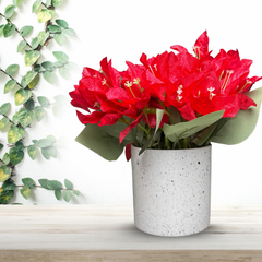 De Gardenia Artificial Rubber Plant – Small Faux Potted Plant for Tabletop, Home, Bathroom & Office Décor | Indoor Decorative Greenery