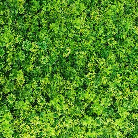 De Gardenia 50x50 cm Artificial Greenery Wall Panel – Lush Faux Vertical Garden Mat for Wall, Balcony & Home Décor