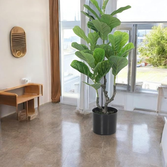 De Gardenia Artificial Fiddle Leaf Fig Tree – 76 cm Tall Faux Indoor & Outdoor Green Plant with Black Pot | Decorative Plant for Home, Office & Garden Décor