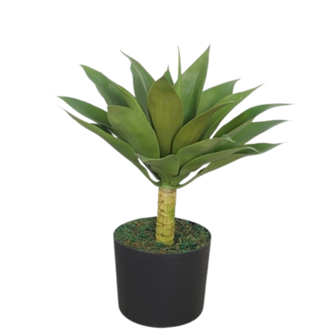 De Gardenia Agave – 50 cm Tall Artificial Plant | Lifelike Faux Succulent Without Pot for Home & Office Décor
