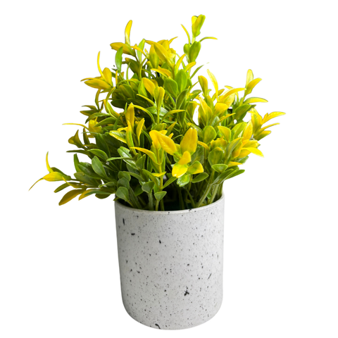De Gardenia Artificial Rubber Plant – Small Faux Potted Plant for Tabletop, Home, Bathroom & Office Décor | Indoor Decorative Greenery