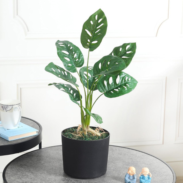 De Gardenia Artificial Monstera Rubber Plant with Black Pot – 50 cm Tall Faux Indoor Greenery for Home Décor | Realistic Ornamental Plant