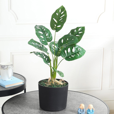 De Gardenia Artificial Monstera Rubber Plant with Black Pot – 50 cm Tall Faux Indoor Greenery for Home Décor | Realistic Ornamental Plant