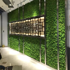 De Gardenia Prefleur Preserved Reindeer Moss – Natural Green DIY Kit | Craft Moss for Gardening, Wedding Decor, Floristry & Wall Art